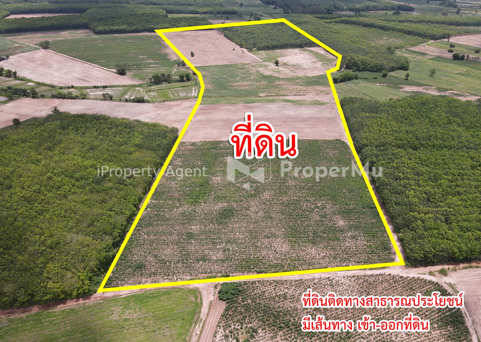 Land in Tan Lien Subdistrict, Kut Chap District, Udon Thani