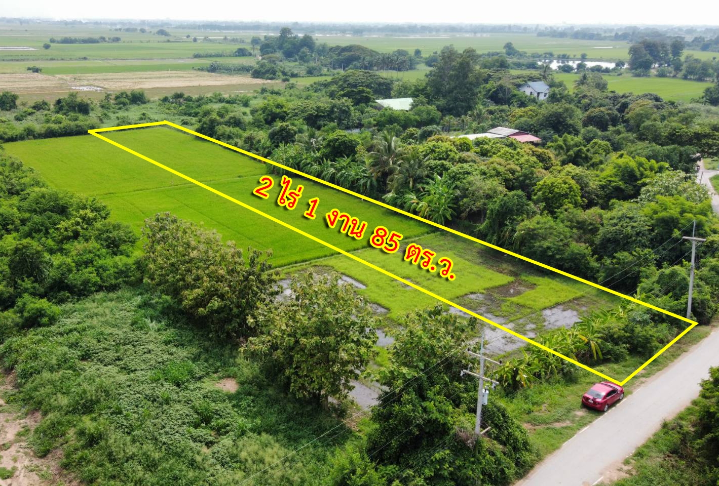 Land in Tha Wung District, Lopburi Province