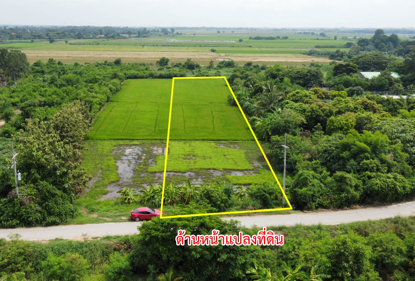 Land in Tha Wung District, Lopburi Province