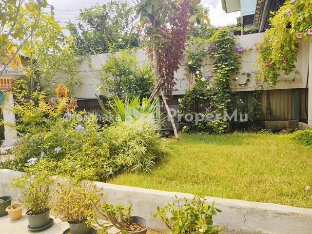 For rent, single house, Sukhumvit 103, Soi Udomsuk 48, 80s style, front garden, shady, near both BTS