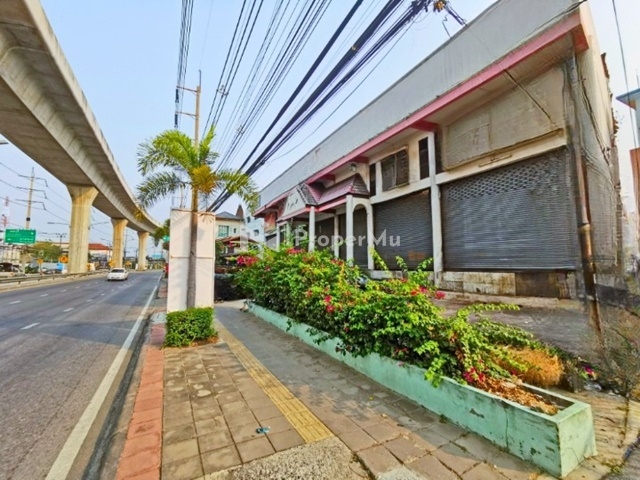 BTS Srinakarin 1km. BigC Samut Prakan 1.3 km. For rent buildings PakNam 3SToreys 5bed 4bath for sho