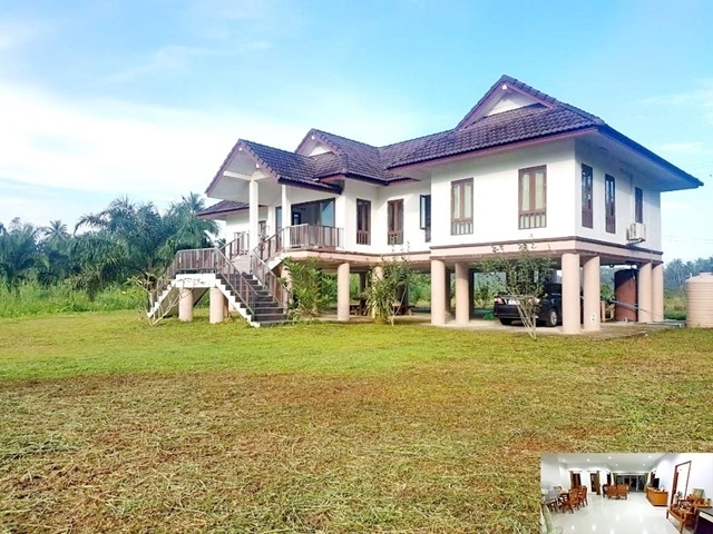 Central SuratThani house for rent raised Mansion 3rai 180sq.m. 14,999B-M loves pet private 3bed 3bat