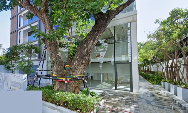 Sukhumvit 41-49 for rent shops restaurants 177 sq.m. BTS PhromPhong 390m. Thonglor900m Good location