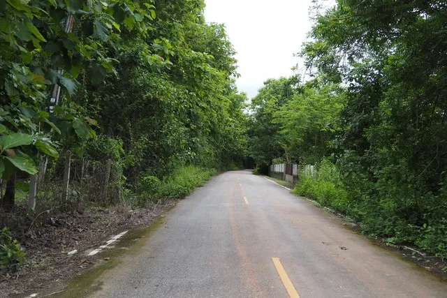 ที่ดินแปลงสวย...บนเนินสูงมองเห็นวิวภูเขาบรรยากาศสุดธรรมชาติ อ.ปัว