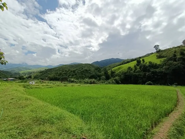 ที่ดินริมน้ำ ใกล้หมู่บ้านสะปัน รอให้คุณมาเนรมิตความฝันให้เป็นจริงสร้างธุรกิจ ในแบบที่คุณ ปรารถนา...