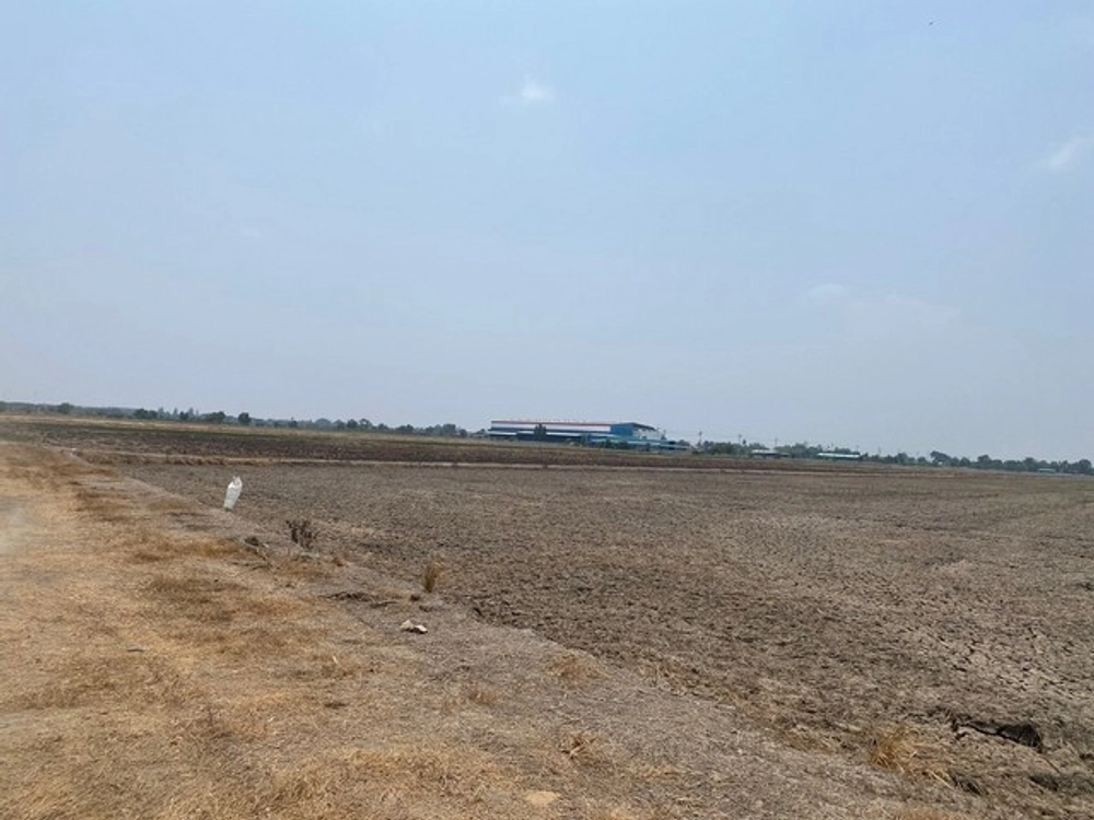 Land for sale, 6 rai, EEC area, Mueang Chachoengsao District, purple plan, white dots, road width 8-10 meters, container trucks can enter and exit.