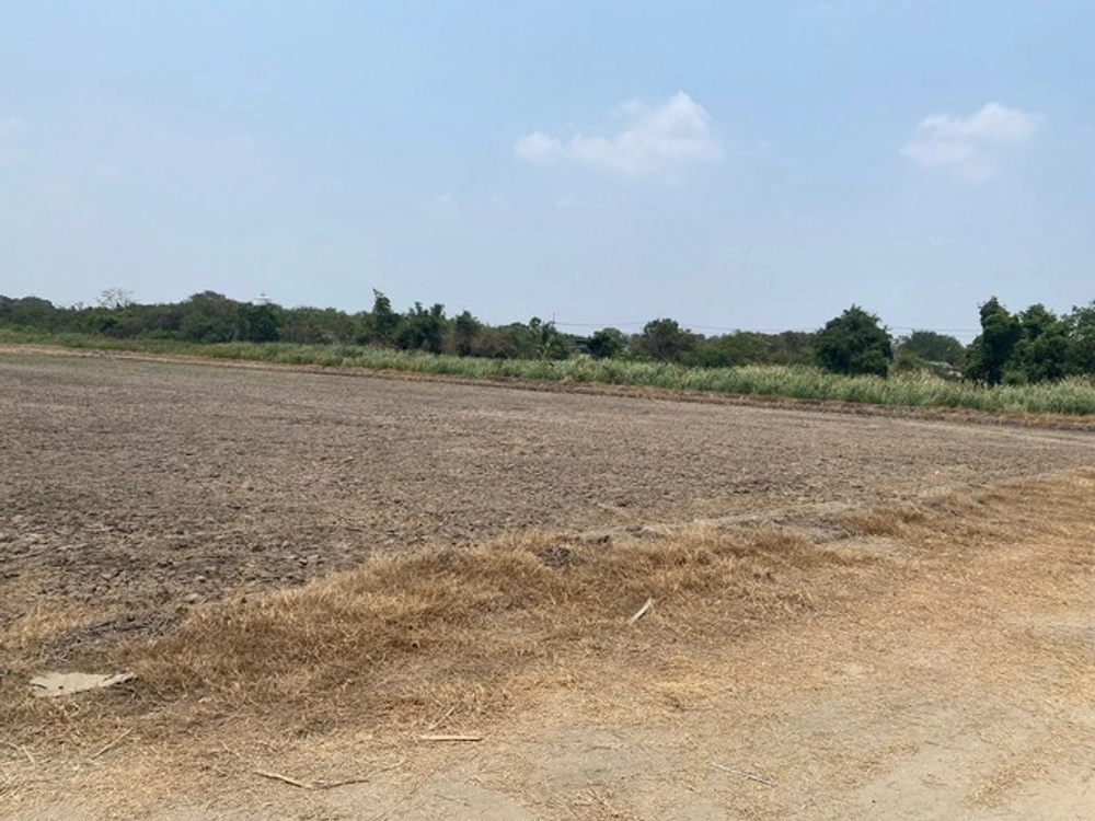 Land for sale 6 rai, EEC area, Mueang Chachoengsao District, purple plan, white dots, road width 8-10 meters, container trucks can enter and exit.