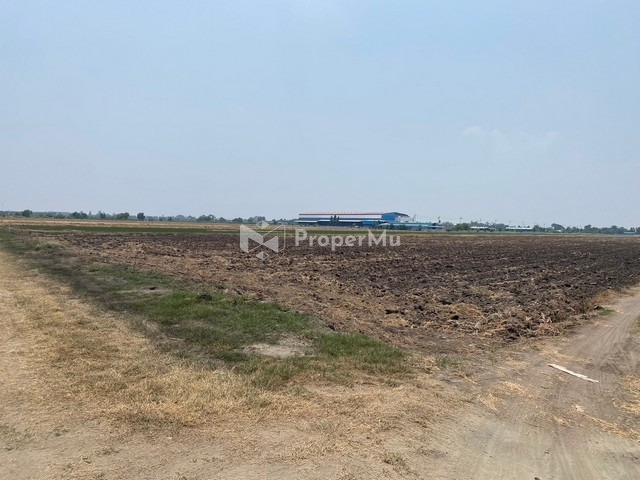 Land for sale, 6 rai, EEC area, Mueang Chachoengsao District, purple plan, white dots