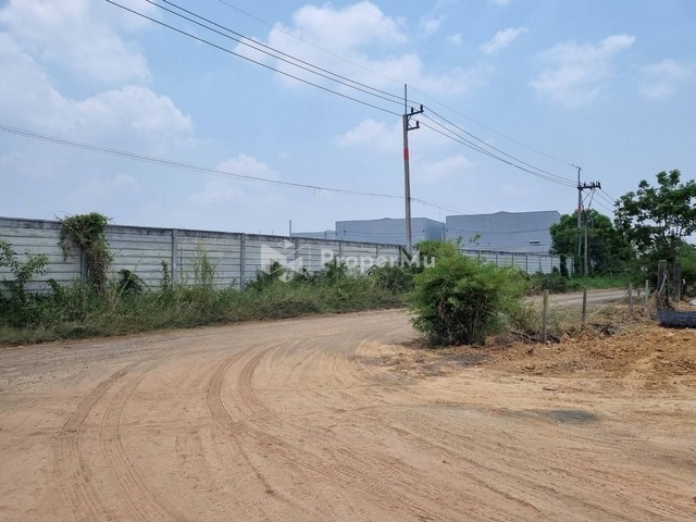 Land for sale, 6 rai, EEC area, Mueang Chachoengsao District, purple plan, white dots