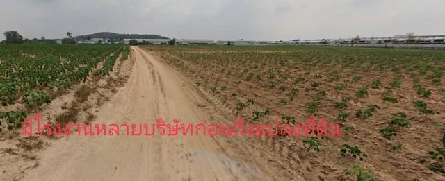 ขายที่ดิน 16 ไร่ พื้นที่ม่วงจุดขาว มาบยางพร ใกล้นิคม อีสเทิร์นซีบ