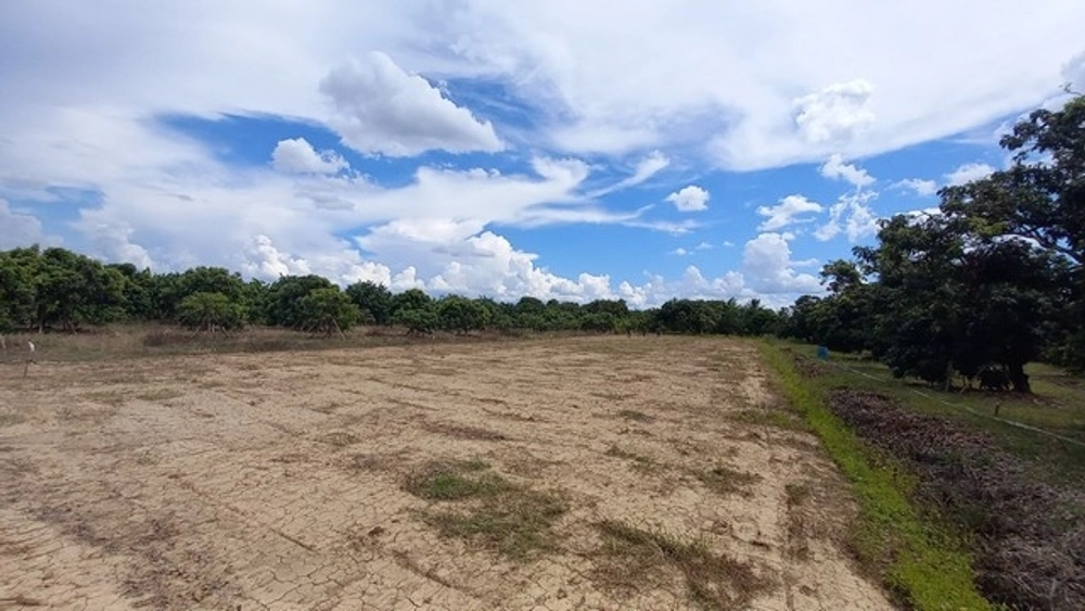 Land for sale 44-59 sq.w. Starting at 260,000 baht. Free transfer, road, water, electricity, near Wat Khua Mung, Khua Mung Subdistrict, Saraphi District, Chiang Mai