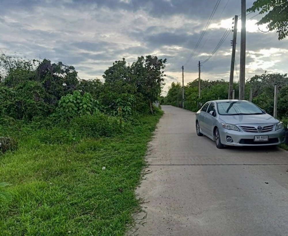 Land for sale, 429 sq m, 3.43 million baht, yellow residential plan, road, water, electricity, Yang Noeng Municipality School, Yang Noeng Subdistrict, Saraphi District, Chiang Mai