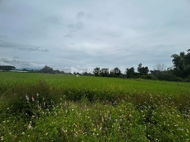 Land sale,2ngan,790KB, utility, near the municipality, Buakhang, San Kamphaeng, Chiang Mai