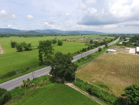 Large plot of land for sale in Chiang Rai, special price, near Mae Fah Luang Airport, only 23 minute