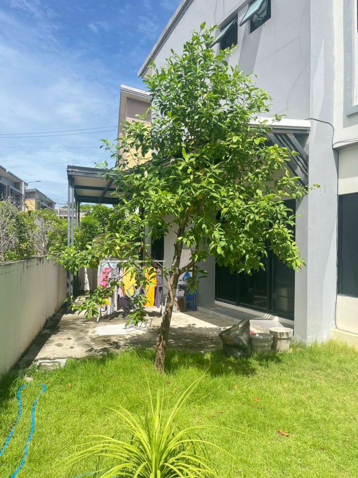 For sale S Gate Premium Kanchanaphisek Soi Kantana 3 bedrooms 3 bathrooms 40 sq.w. corner unit.