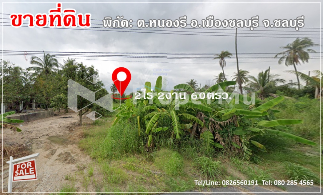 CYP176Land for SALE next to cafe, Nongree, Chonburi.