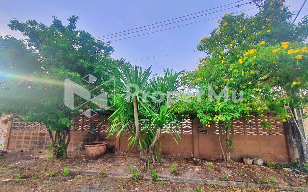 CYP167 Single-storey detached house for sale. #Behind Chatuchak  Market Chonburi