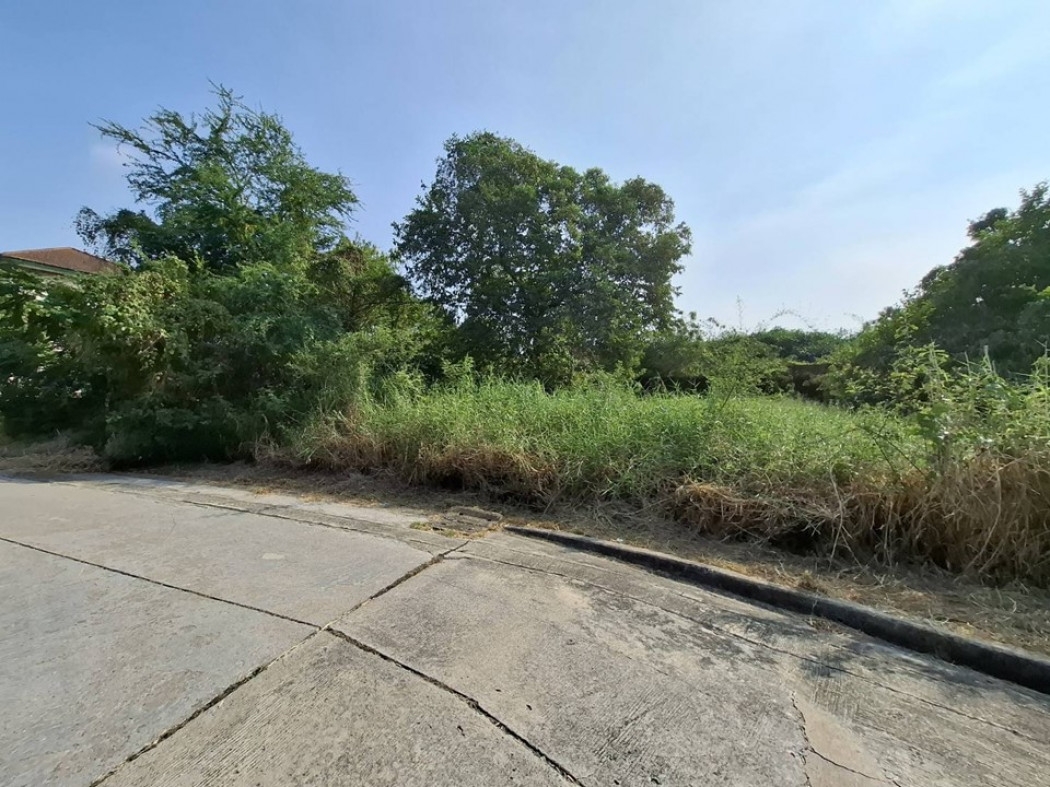 Prime Land for sale, Chaiyapruek Village, Soi Wat Lat Pla Duk, 81.2 sq.wa, beautiful plot, suitable 