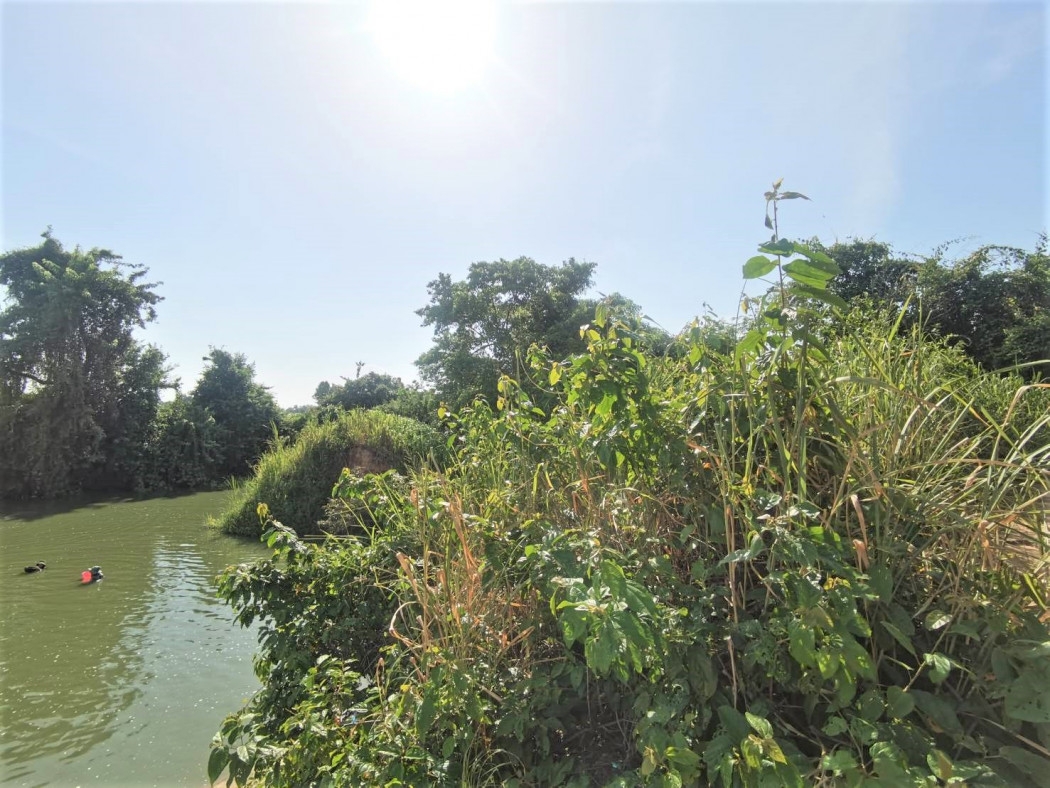 Land for sale ME317, Khlong Luang, Ratchalothorn, Koh Chan, Chon Buri.