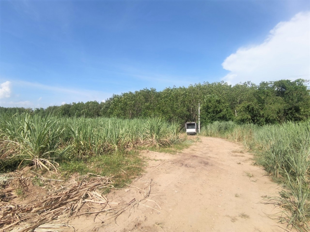 Land for sale ME317, Khlong Luang, Ratchalothorn, Koh Chan, Chon Buri.