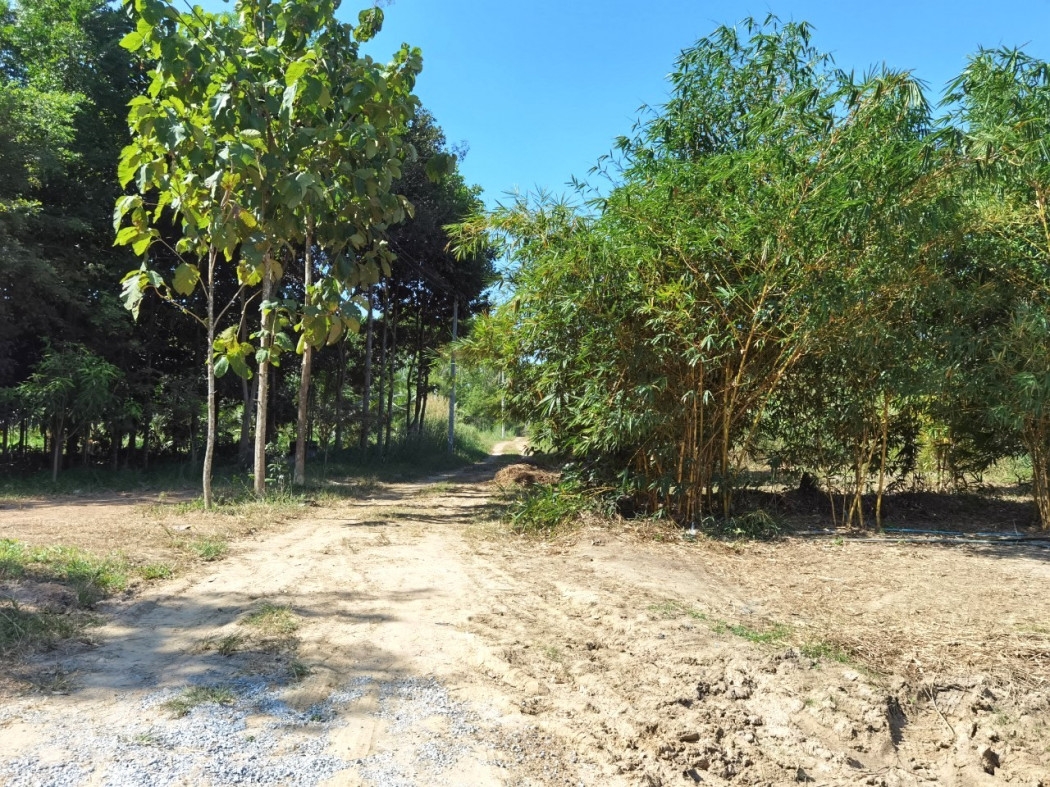 Land for sale ME214, Bo Kwang Thong, Bo Thong, Chonburi. 5 rai, 2 ngan, 67 sq m, suitable for agricu