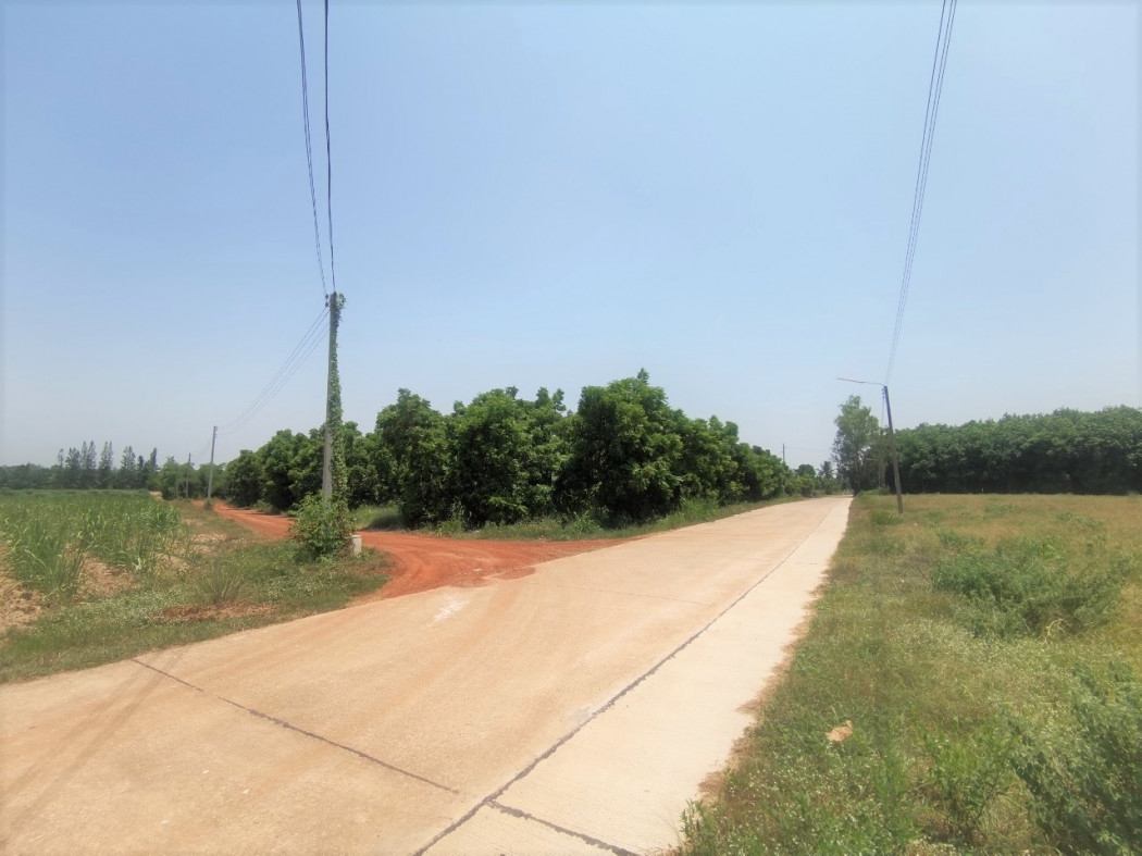 Land for sale, bamboo plantation, cheap price ME043 Bo Kwang Thong, Bo Thong, Chonburi, size 2 rai, 