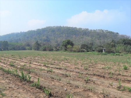 Land for sale ME126, mountain view, Bo Kwang Thong, Bo Thong, Chonburi, size 16 rai 1 ngan, 85 sq. w