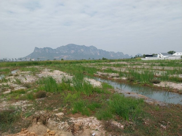 ขายที่ดินเปล่า วิวภูเขา ใกล้หาดชะอำ