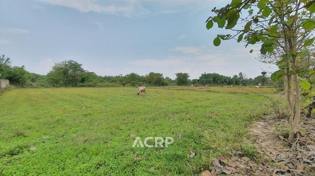 Land for sale lower than the appraisal value in Hang Dong, Chiang Mai.