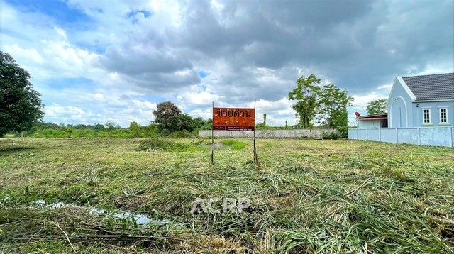 Land for sale in Baan Fah Mui, San Sai, Chiang Mai.