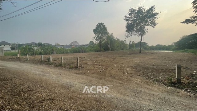 Land for sale in Tha Wang Tan, Saraphi District, Chiang Mai.