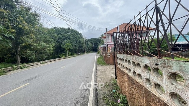 Land for sale adjacent to the road in Mae Rim District, Chiang Mai