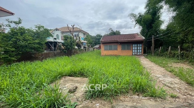 Land for sale adjacent to the road in Mae Rim District, Chiang Mai