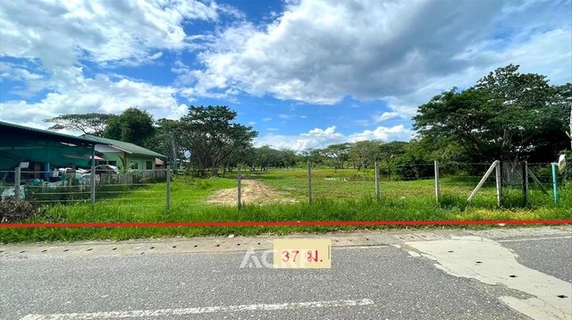 Land for sale in Nong Han Subdistrict, San Sai, Chiang Mai