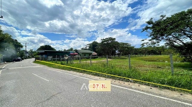 Land for sale in Nong Han Subdistrict, San Sai, Chiang Mai