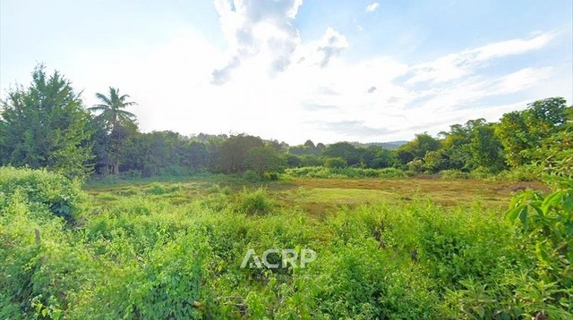 Land for sale in Huai Sai Subdistrict, Mae Rim District, Chiang Mai.