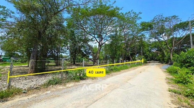 Land for sale in Nong Han Sub-district, San Sai District, Chiang Mai