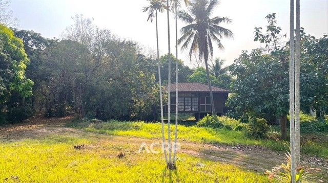 Land for sale with wooden house in Luang Nuea, Doi Saket, Chiang Mai.