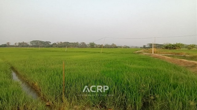 Land for sale on Old San Kamphaeng road, Chiang Mai.