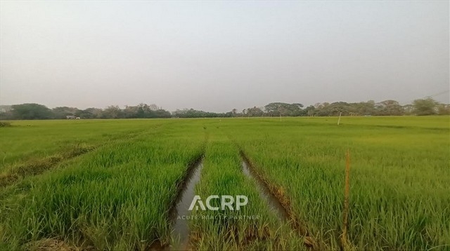 Land for sale on Old San Kamphaeng road, Chiang Mai.