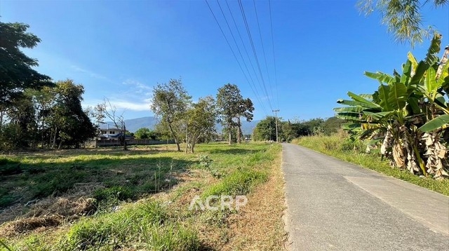 Land for sale near Chotana road, Mae Rim District, Chiang Mai.