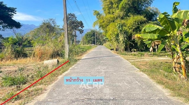 Land for sale near Chotana road, Mae Rim District, Chiang Mai.