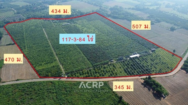 Mango orchard for sale in Pa Sang, Lamphun. Land size 117-3-84 Rai