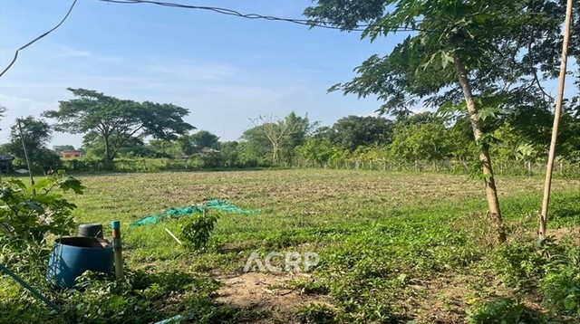 Land for sale with beautiful view in Mae Rim District, Chiang Mai.