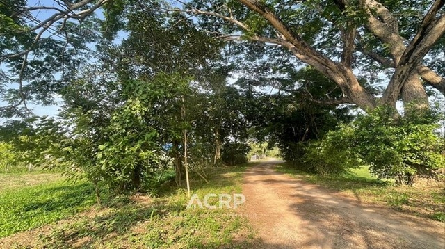 Land for sale with beautiful view in Mae Rim District, Chiang Mai.