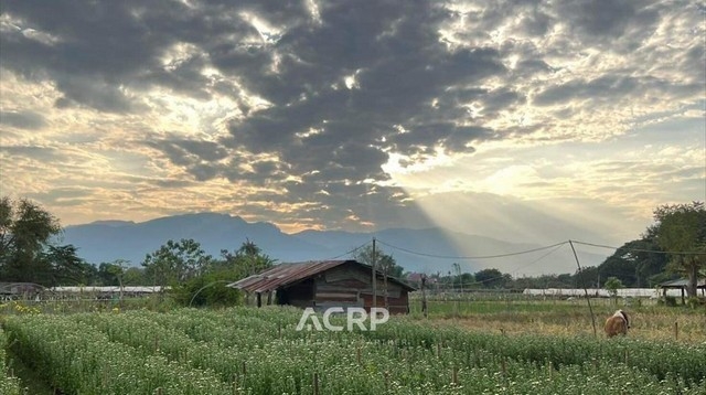 Beautiful plot of land for sale with Doi Suthep view in Mae Rim, Chiang Mai