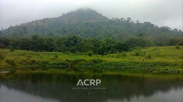 Land for sale in Soi Dao, Chanthaburi. Land size 33-1-45 Rai.