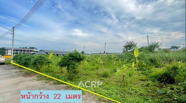 Land for sale on Third Ring Road, San Phi Suea, Chiang Mai.