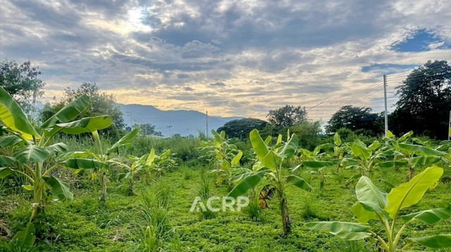 Land for sale on Third Ring Road, San Phi Suea, Chiang Mai.