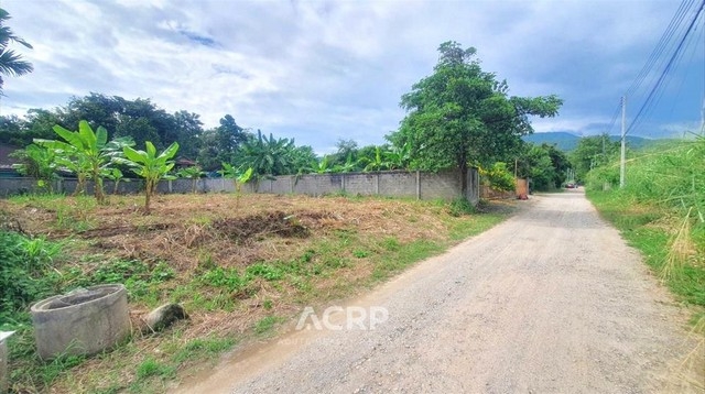 Land for sale behind Chiang Mai University, Land size 122 sq.w.